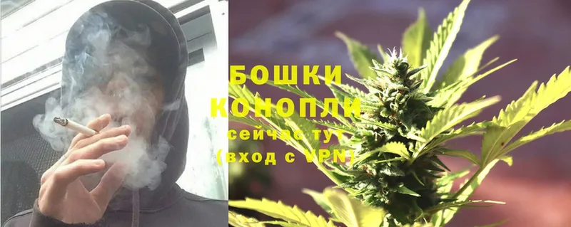 купить  сайты  Миллерово  Шишки марихуана SATIVA & INDICA 